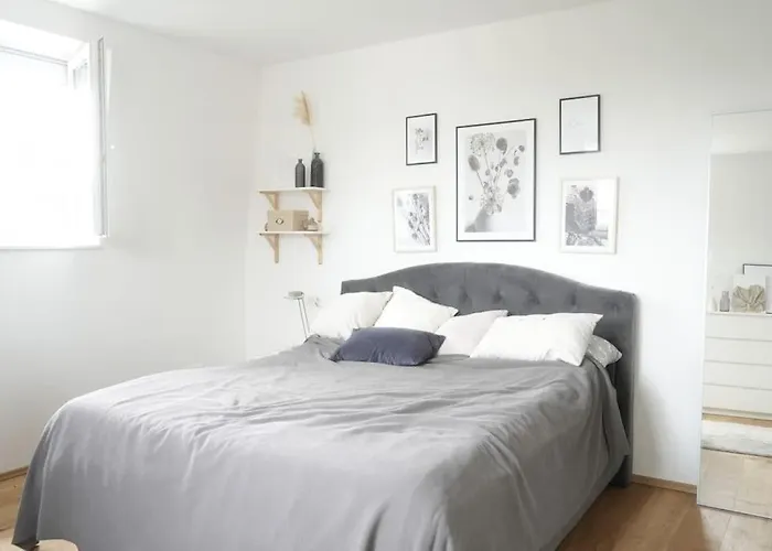 Design Wohnung Im Zentrum Von Koblenz