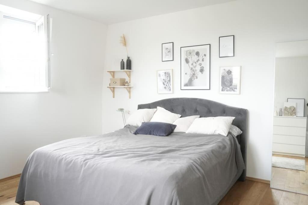 Appartement Design Im Zentrum Von Koblenz