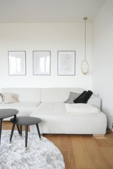 Appartement Design Im Zentrum Von Koblenz Coblence
